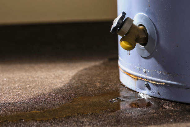 Best Local water damage restoration  in Loveland Park, OH