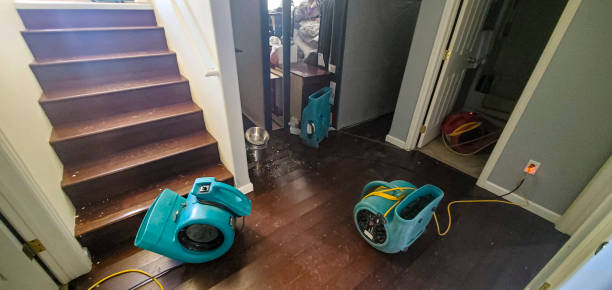 Best Water damage restoration near me  in Loveland Park, OH