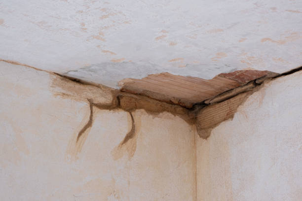 Best Flooded house restoration  in Loveland Park, OH