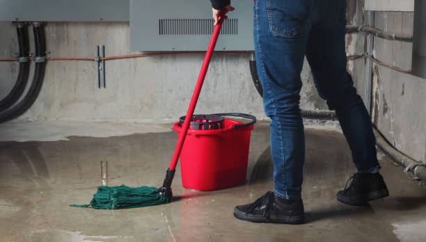 Best Flood restoration services  in Loveland Park, OH