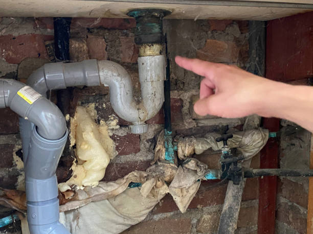 Best 24-hour water damage restoration  in Loveland Park, OH