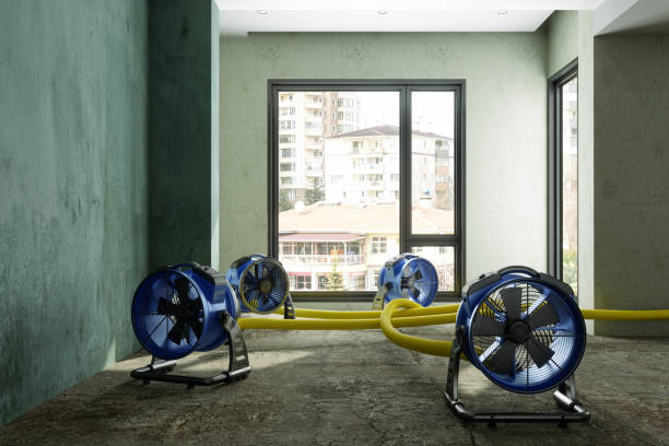 Best Water damage restoration cost  in Loveland Park, OH